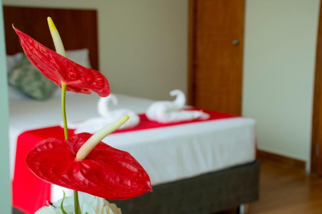 Hotel La Palmera De Oro Tarapoto Eksteriør billede